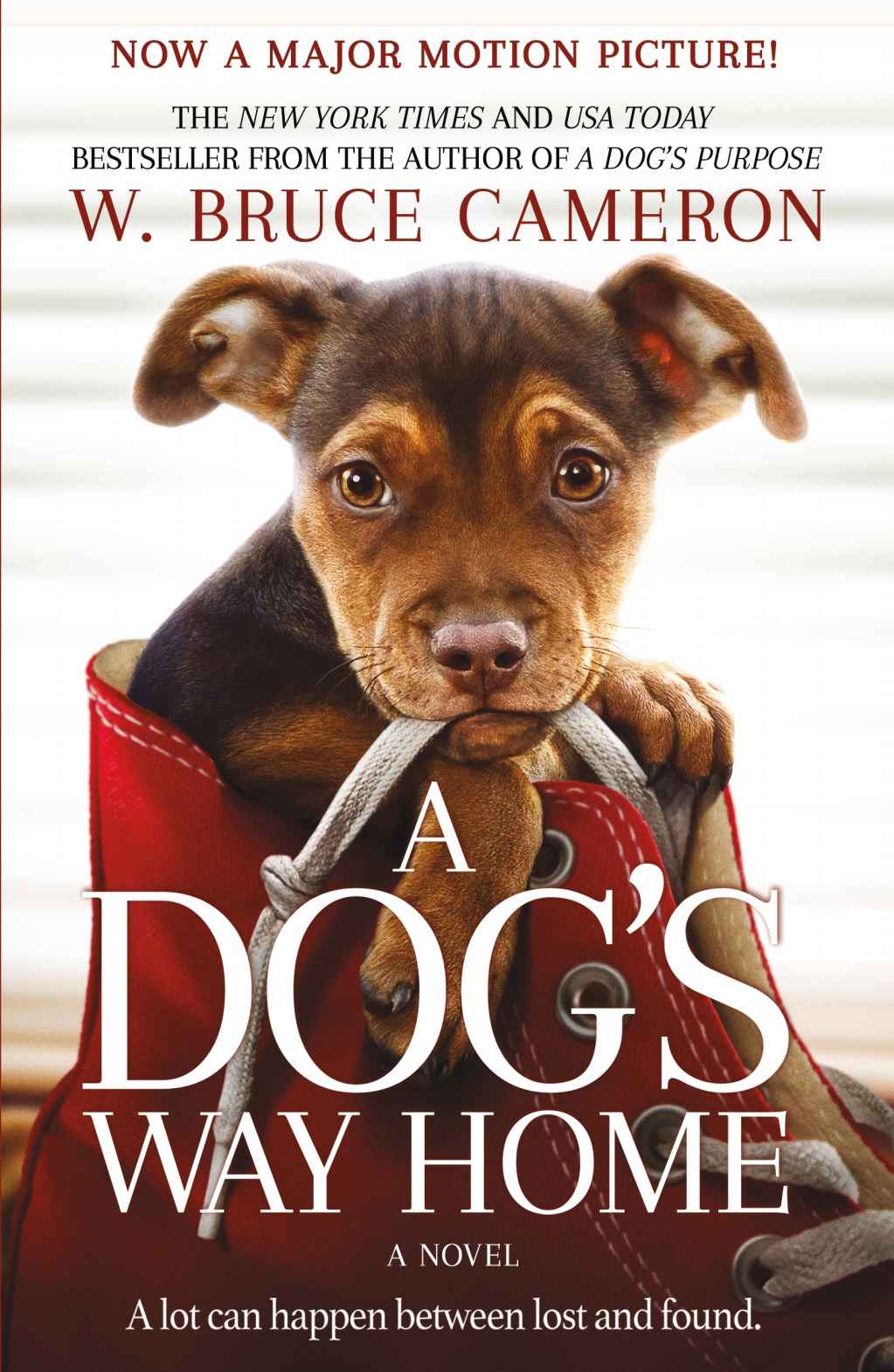 A Dog's Way Home: A Novel