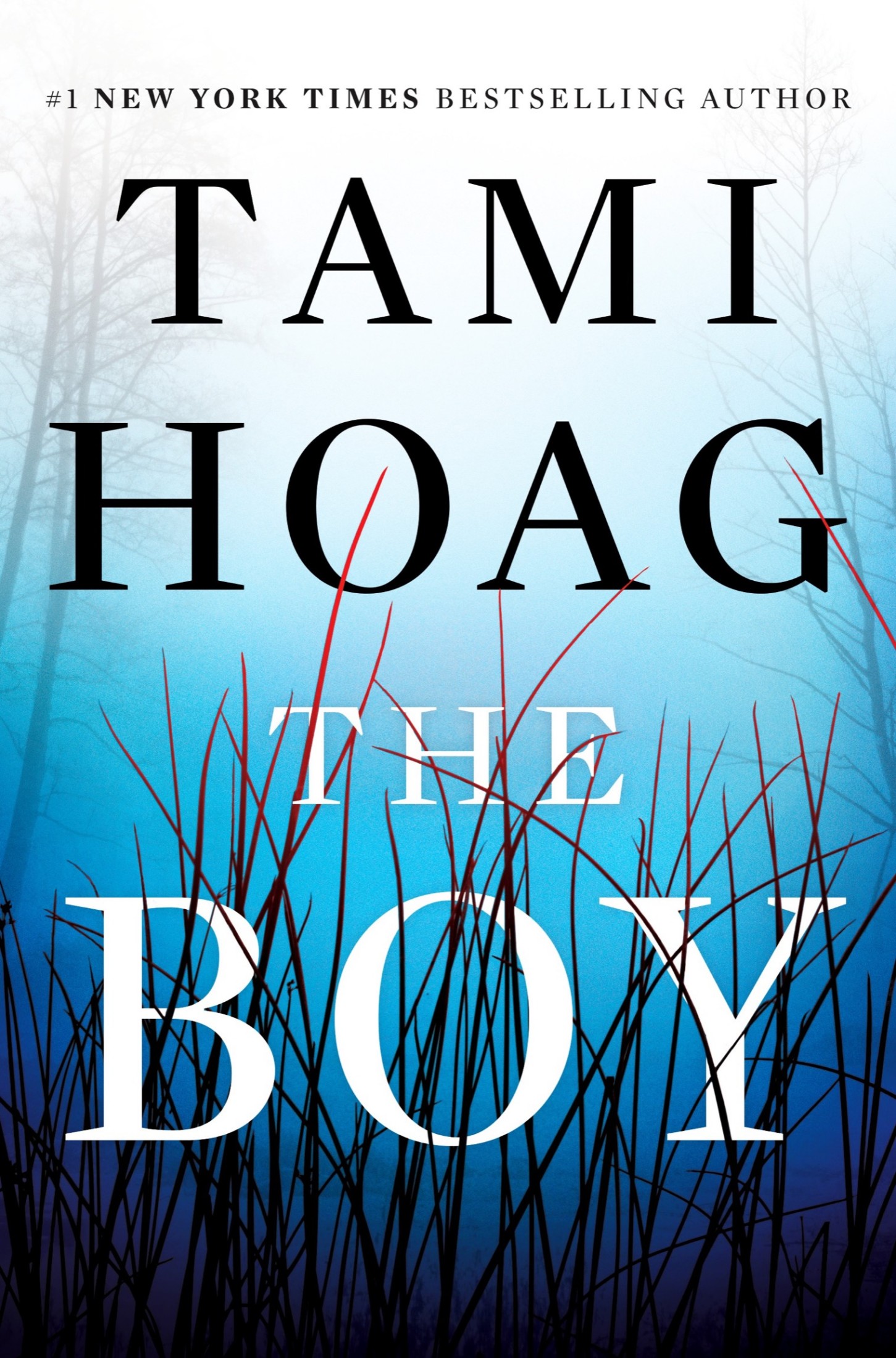 The Boy: A Novel