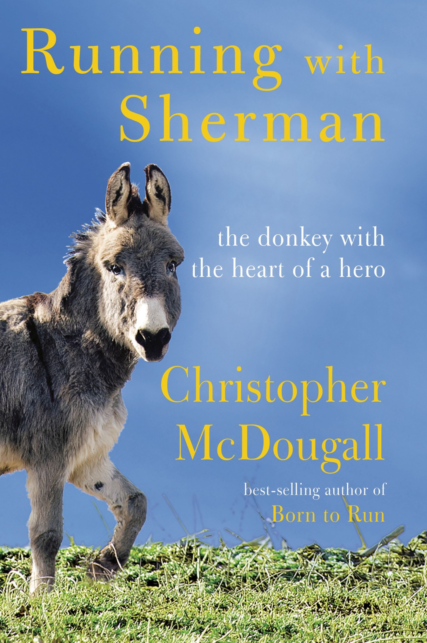 Running With Sherman: The Donkey With the Heart of a Hero