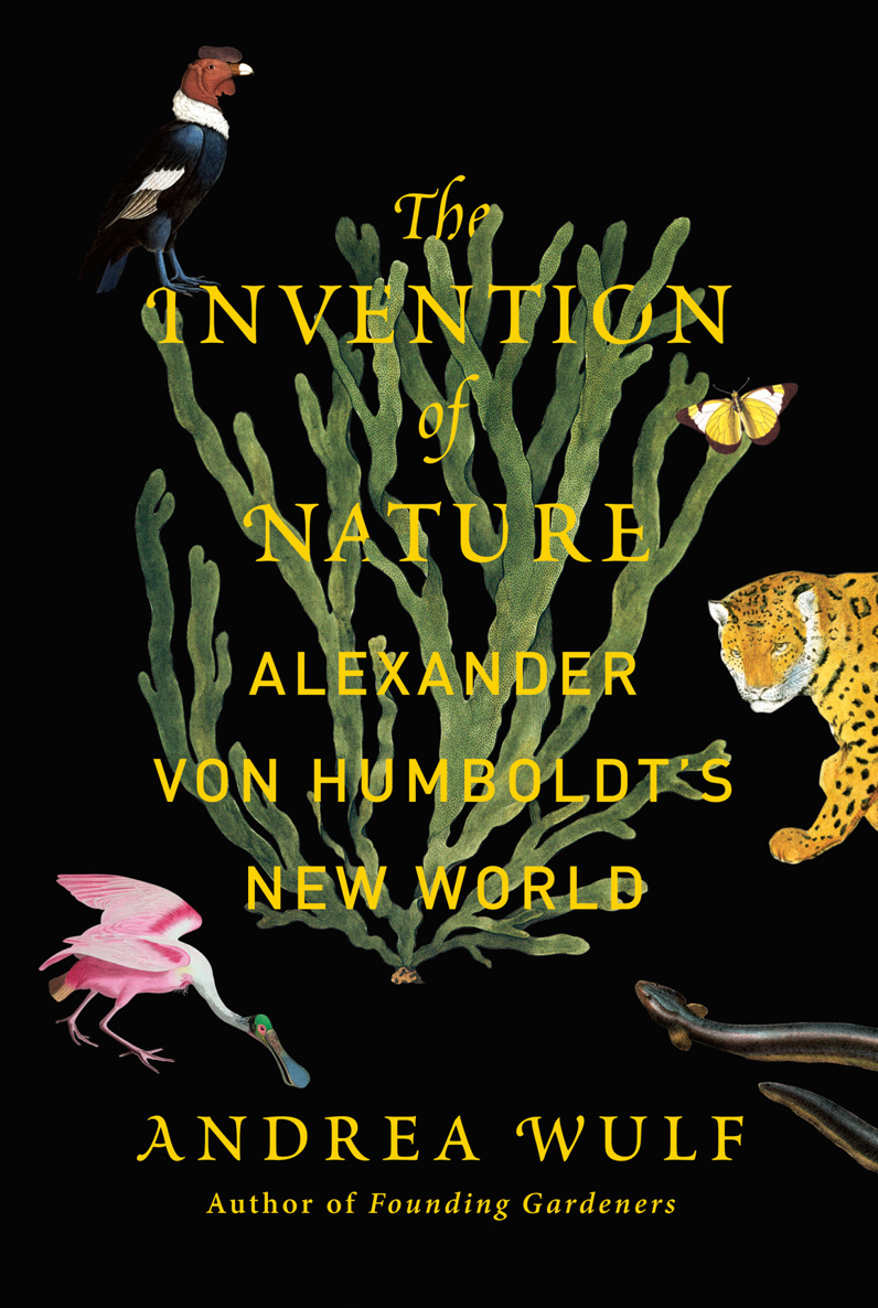 The Invention of Nature: Alexander Von Humboldt's New World