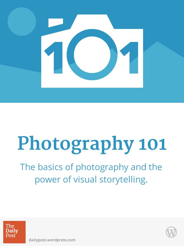 The Daily Post: Photography 101